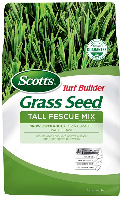 Scotts tall fescue - This grass seed mix is for large problem areas in your lawn and establishing new grass. Apply this lawn care product in the spring or fall when temperatures are between 60°F and 80°F. One 5.6 lb. bag of Scotts® Turf Builder® Rapid Grass Tall Fescue Mix has a new lawn coverage of 615 sq. ft. and an overseeding coverage of 1,845 sq. ft.